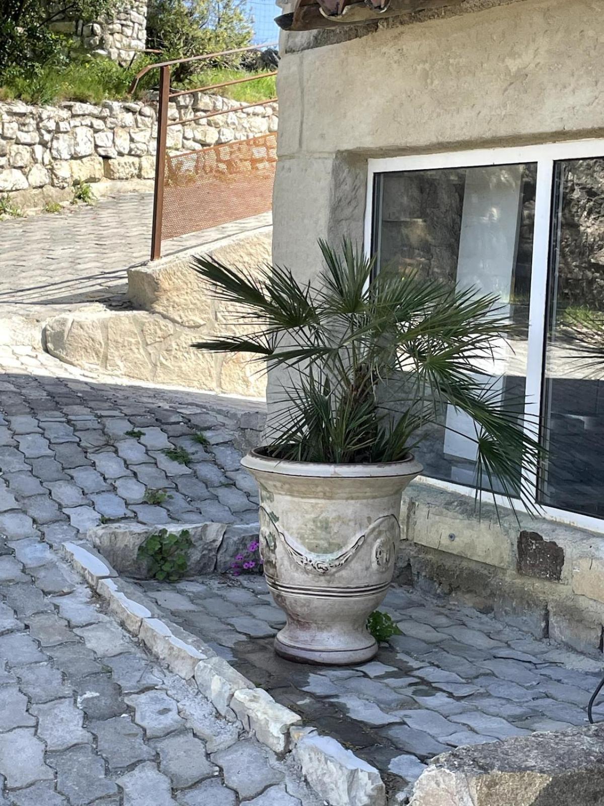 Le Castellas - Gite En Pleine Nature Montmirat Экстерьер фото